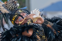 DSC_7468-Edit.jpg