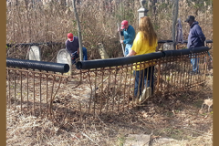 Hardesty Cemetery Cleanup