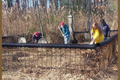 Hardesty Cemetery Cleanup