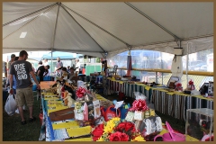 Silent Auction 2016