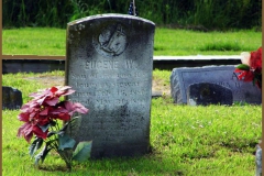 Eugene W.