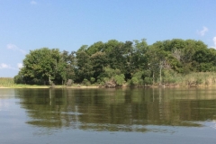Snake Island