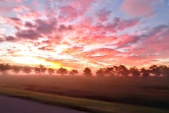 Sunrise