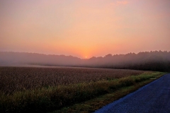 Sunrise